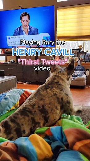 Playing Rory the Thirst Tweets by HENRY CAVILL