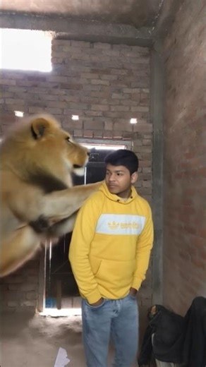 tutorial candy filter #shots