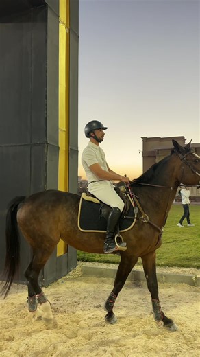 Focus, rhythm, and a great round 🐎👏 #equussacademy #equestrian #horseriding #showjumping #equestrianacademy