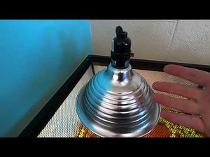 Cheap and Powerful Heat Lamps for Reptiles