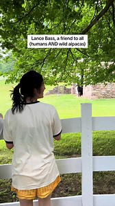 358K views · 2.7K reactions | Animals fear me just as much as I fear them, which is why I’m glad they trust Lance instead  #lancebass #nsync #funnyfail | Elyse Myers | Facebook