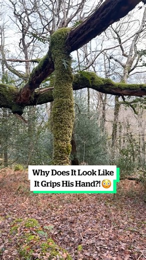 180K views · 176 reactions | : That's not my hand 﫢 : ViralHog | VT | Facebook