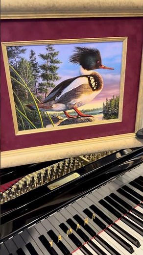 Winning Minnesota 2000 State Duck Stamp By Kim Norlien
