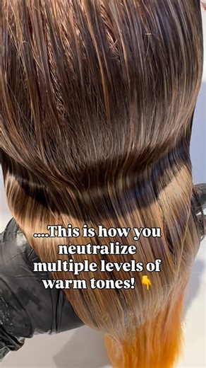 You can’t just mix violet and blue together and expect it to magically cancel out all warm tones. Once those pigments blend in the bowl, they create a new color that lands in a completely different spot on the color wheel – and that’s exactly why so many formulas fail. Here’s what actually works when you’re dealing with multiple warm tones: 🍌 Level 9-10 (yellow): Neutralize with violet only 💜 🏵️ Level 8 (yellow-orange): Use blue-violet 💙💜 🍑 Level 7 (orange): Neutralize with blue only 💙 🎯
