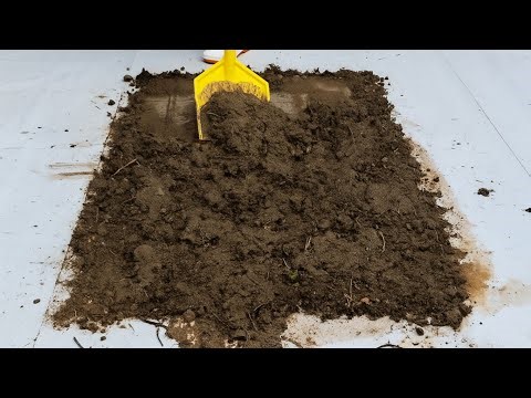 Large plastic scrubber - a quick and inexpensive solution for washing muddy carpets-carpet cleaning