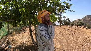 3.1K views · 62 reactions | ⛰️ Sur les montagnes du Haut Atlas marocain, un langage ancestral résonne à travers les vallées. Le sifflement, bien plus qu’un simple signal, est une véritable langue, transmise de génération en génération par les bergers ⤵️ | Agence France-Presse | Facebook