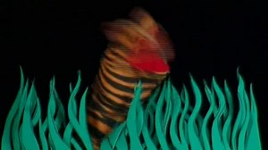 Baby Einstein Baby Shakespeare World Of Poetry