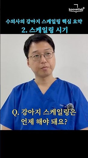 수의사가 알려주는 강아지 스케일링 핵심 요약 2: 스케일링 시기