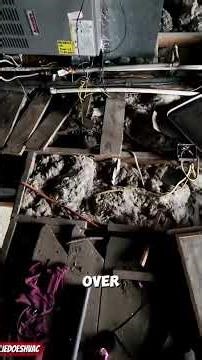 Easy HVAC Service Call 😮‍💨 👉 Easy calls or tough diagnostics — which do you prefer?