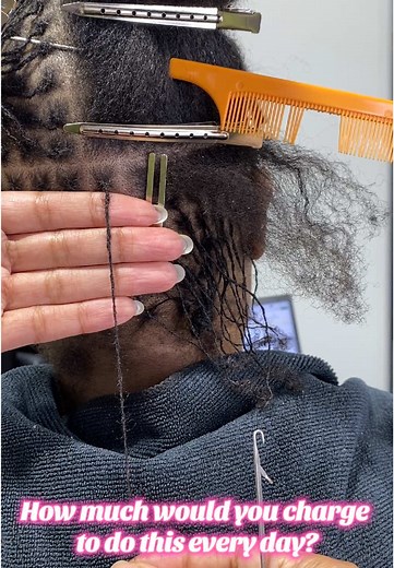 Micro Locs Installation: Daily Pricing Guide for Locticians