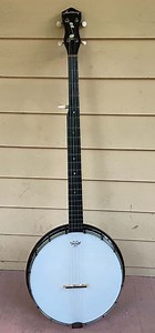 Quantitative similarities between the banjo and a diverse collection of West African lutes - Humanities and Social Sciences Communications