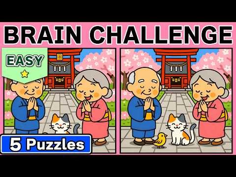 【EASY】This One Feels Easy… Until the Last Puzzle | Spot the Difference #208