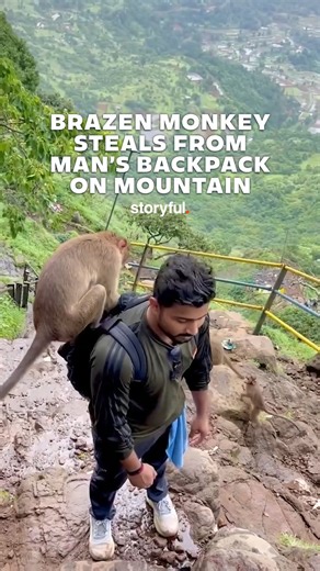6.8K views · 43 reactions | Wonder what was in that backpack. | storyful | Facebook