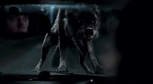 Wolf Blood🔥. #viral #wolf #wolfedit #werewolf #wolfblood #wolfbloodedit #plzgoviral❤ #nighthowlers #wolfpack #wolves