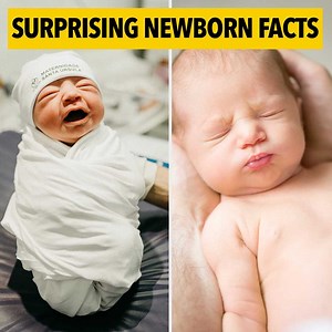 2.3M views · 47K reactions | 10 Surprising Newborn Facts | Pregnancy Guide | Facebook