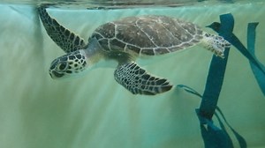 2.9K views · 104 reactions |  There’s nothing quite as magical as...