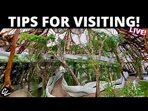 AZULIK SFER IK Francisco Uh May JUNGLE location!