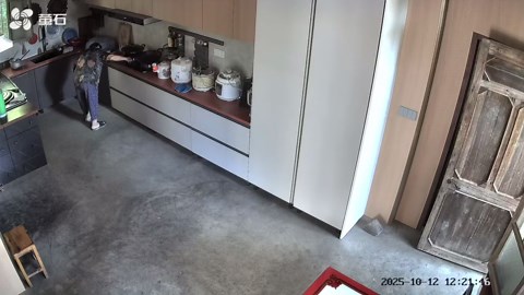 A Smart Yet Lonely Old Grandma