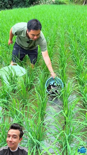 Ami Rodriguez on Reels