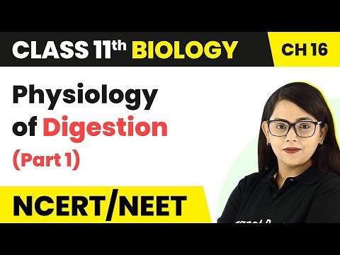 Physiology of Digestion (Part 1) - Digestion and Absorption | Class 11 Biology