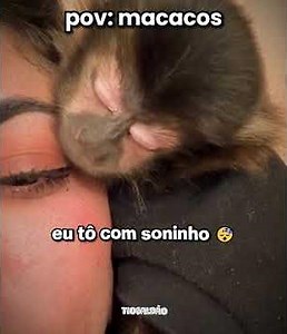 He's sleepy lol #funny #animals #humor #shorts