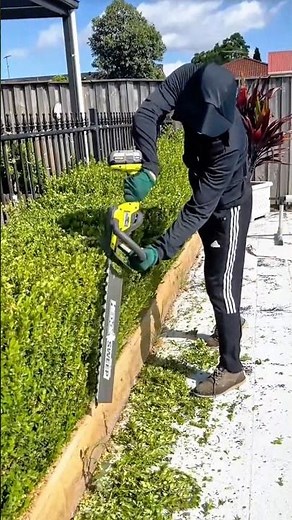 Professional Gardener Using a Powerful Hedge Trimmer to Neatly Shape the Backyard Shrubbery