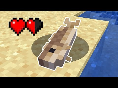 Minecraft, Aber Ich Bin Ein Fisch