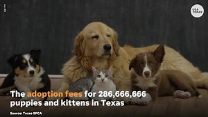 Ten things Elon Musk could have bought instead of buying Twitter for $44 billion