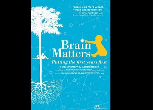 Early Childhood Documentary "Brain Matters" is Now Streaming for Free   — Ideas and Innovations In Early Childhood Education