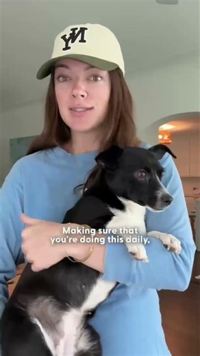 Training a Rescue Dog? Start Here 🐶
