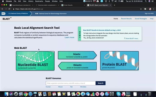 教你如何从NCBI找到相似序列。Analyzing Gene Sequence Results with BLAST