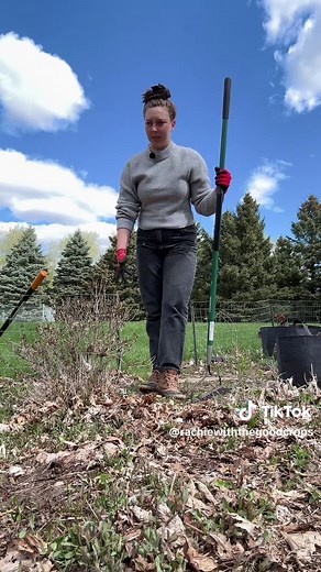 Transplanting Peonies: Tips for a Successful Garden Move