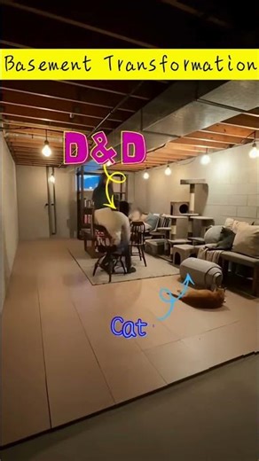 Watch a Basement Transform into a Cozy Cat Haven