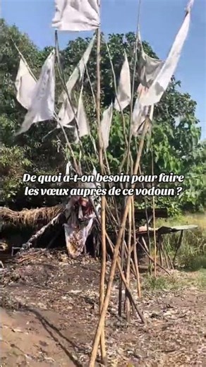 Vaudou du Bénin expliqué
