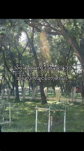 Burmese song dedication to a female scientist