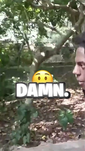 Speed’s new monkey friend just went rogue! 🐒😂