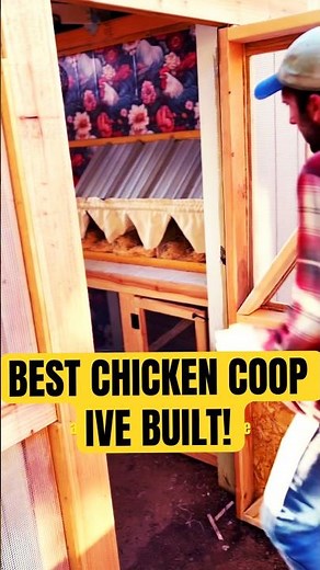 DIY Chicken Coop Build 🛠️ | Nesting Boxes, Roosting Bars & Brooder Setup