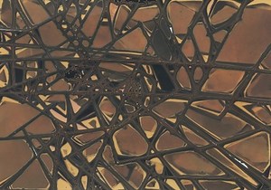 Personal Project: Camera Less Photograghs