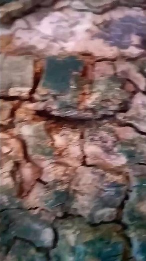 दिमाग़ है तो बताओ #shorts