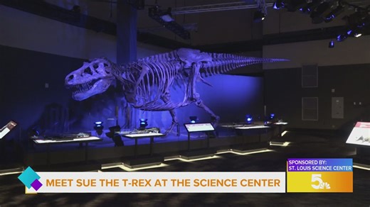 Sponsored: Saint Louis Science Center introduces new exhibit SUE: The T. rex Experience