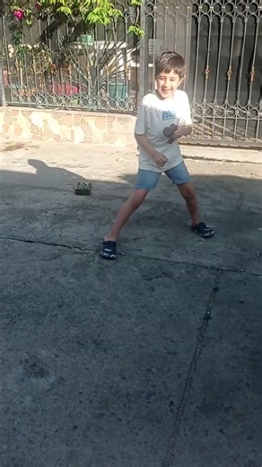 el carro a control remoto