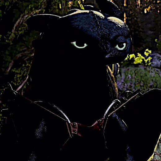 Exploring the Friendship Between Astrid and Toothless