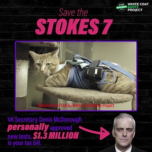 2K views · 63 reactions | VA Secretary McDonough just approved a NEW ROUND of painful experiments on 7 kittens at the Stokes VA lab. Sign now to SAVE THE STOKES 7! 良 | White Coat Waste | Facebook