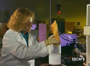 Forensic Files Episodes on Reels