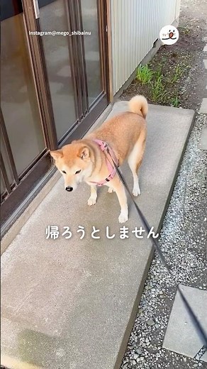 Even though I'm not at home anymore... | PECO