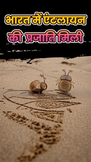 Antlion: The “Lion of Ants” Found in India | India Discovers New Antlion Species! | Digital Samvaad