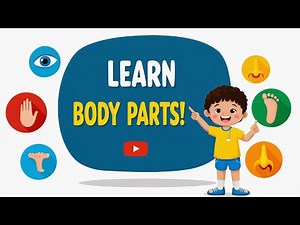 Parts of Body | Body Parts Name | Name of Body Parts in English with Pictures