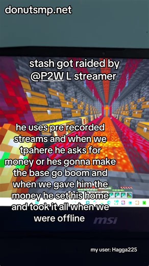 frick you bro #Lstreamer #donutsmp #getmeviews #donut #scam