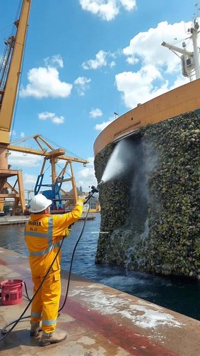 The Staff Stay Busy All Day, Clearing Barnacles from Whales and Ships. #barnacles #ship #harbor #fyp #satisfying