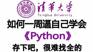 【整整500集】B站最全最易懂的Python全套教程，2025最新版，适合所有零基础小白入门到精通，全程干货学完即就业！包含Python爬虫与数据分析教程！